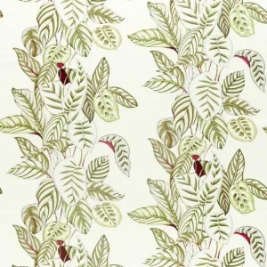 Calathea Olive Fabric