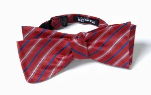 The Sedgwick Collection Red, White, and Navy Blue