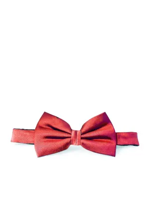 Wedding Bow Tie and Pocket Square Set in Coral